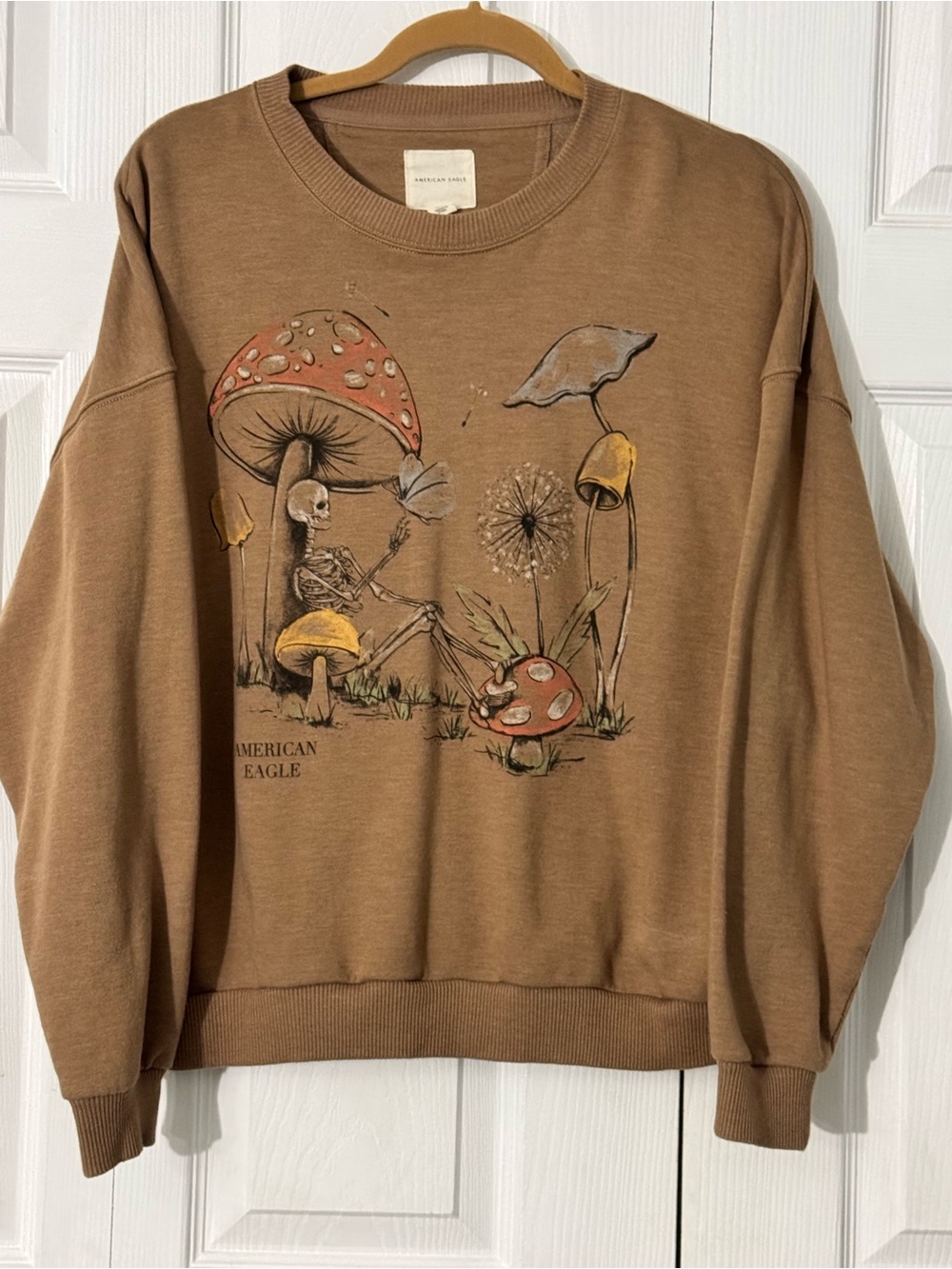 American Eagle Outfitters Brown Graphic Mushroom Crewneck Sweater